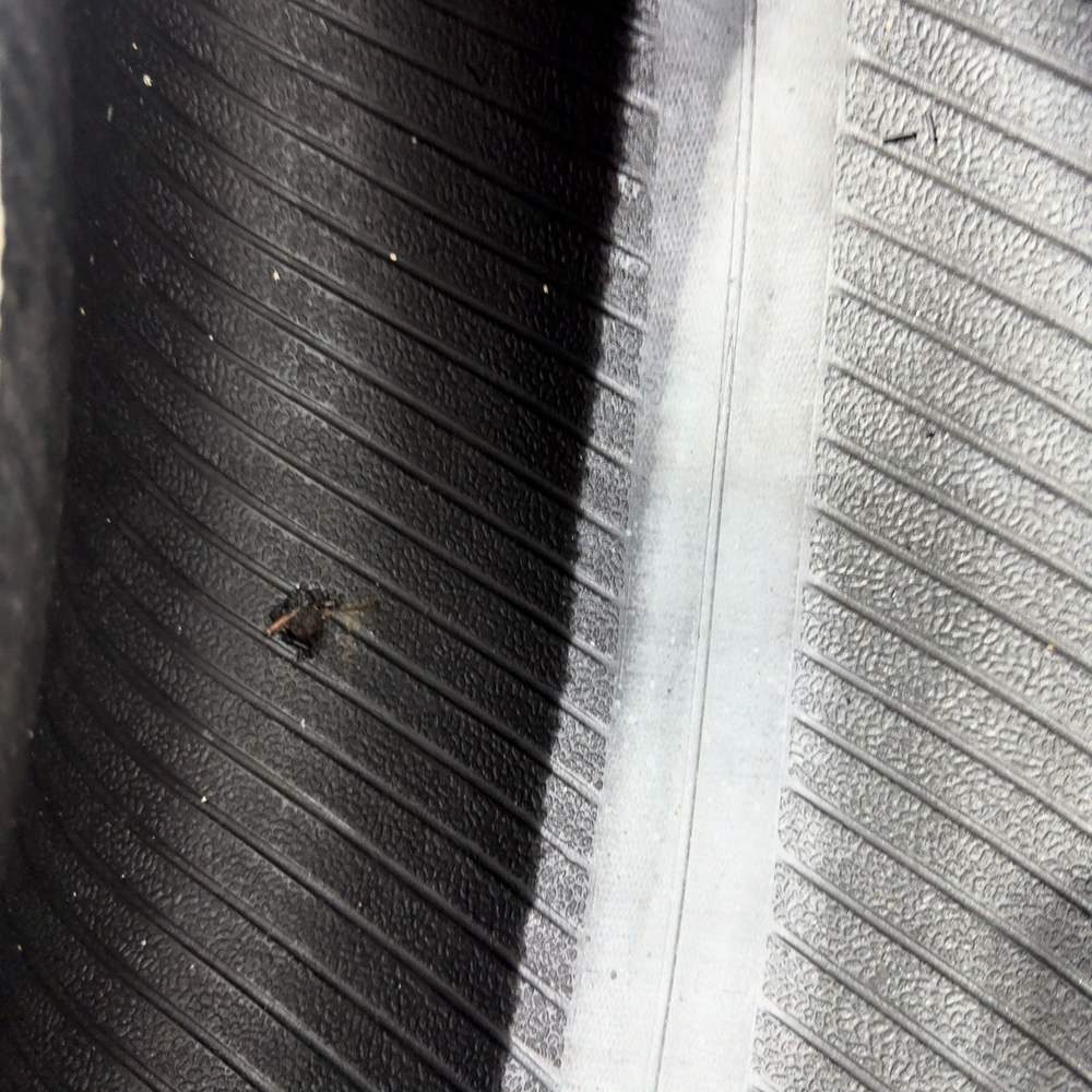 Gomme Usate 235 65 R16C 115/113R Hankook Winter I*Cept LV 86% Invernali - immagine 12